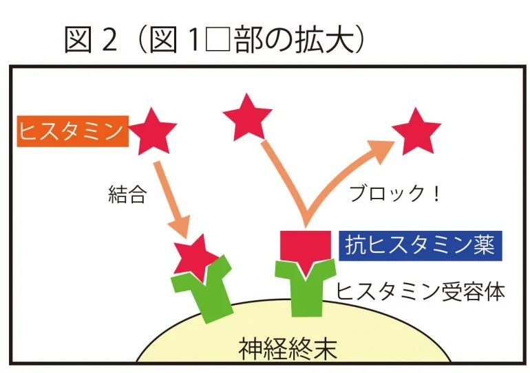寒暖差アレルギーの治療は？