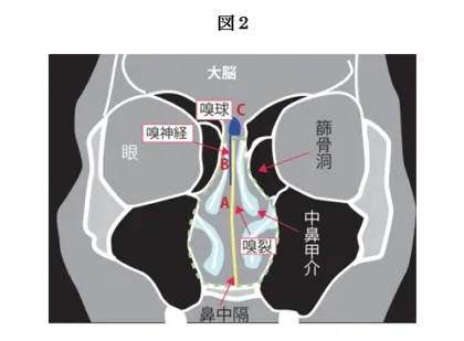 図2